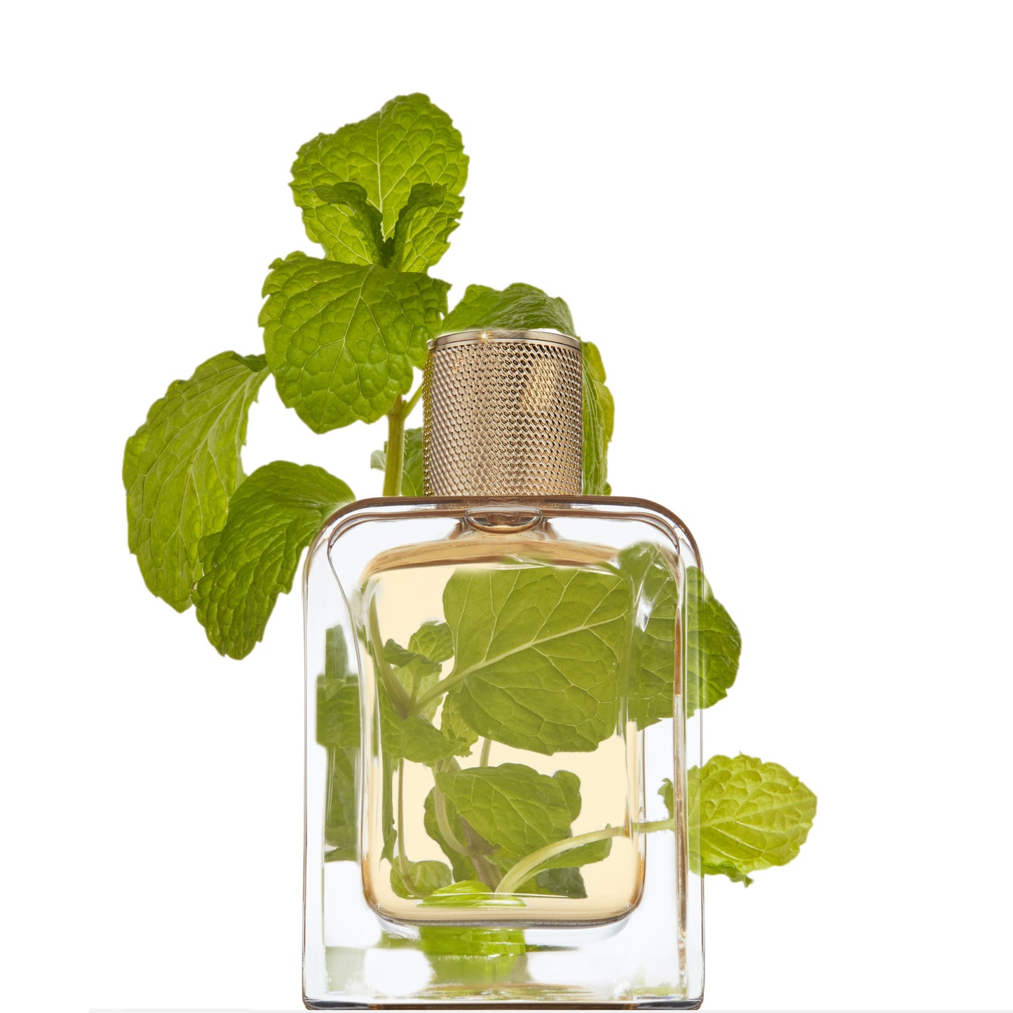 VERT DESIR EDP