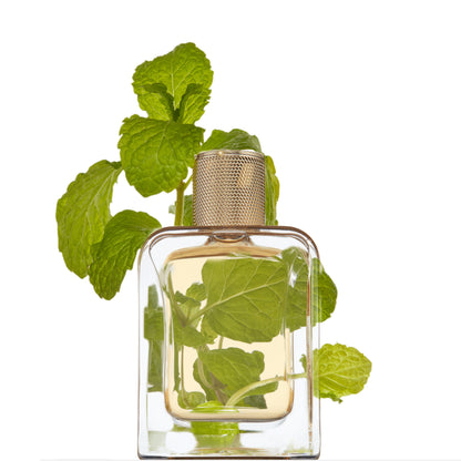 VERT DESIR EDP