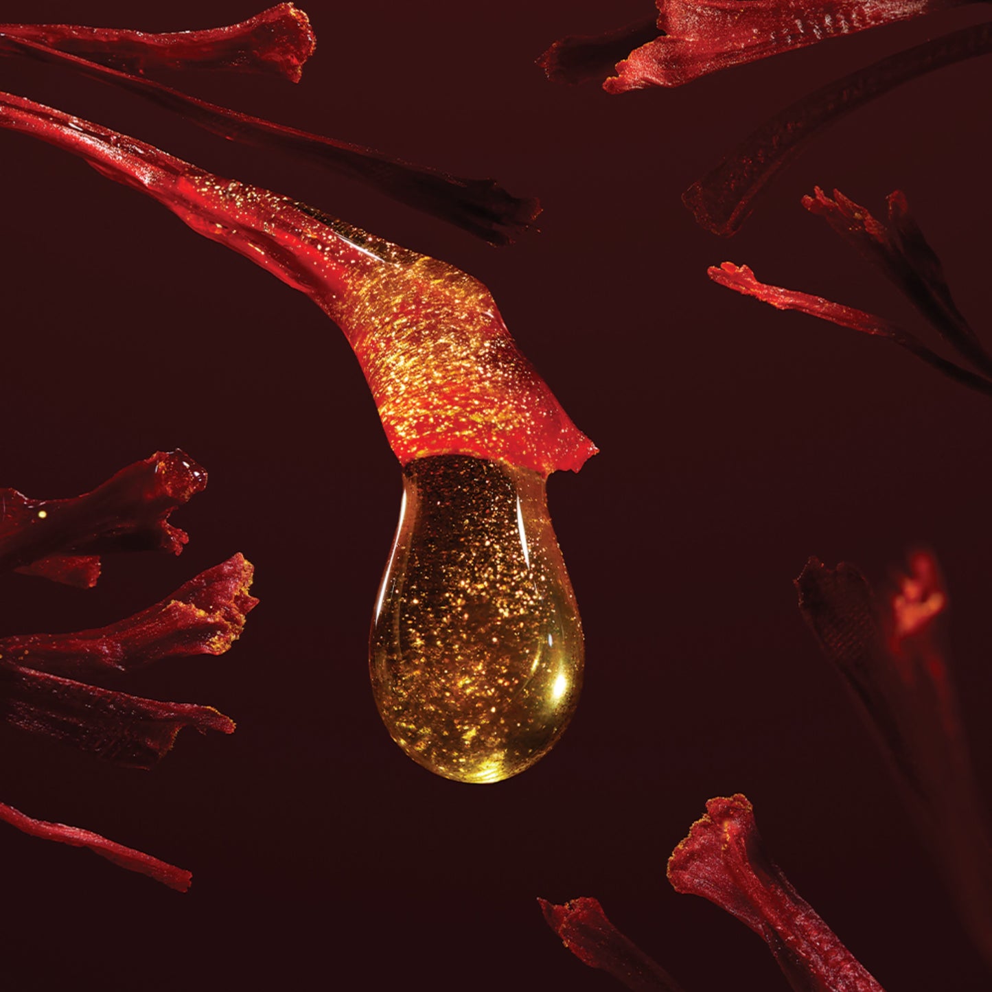CROCUS FORTE EXTRAIT